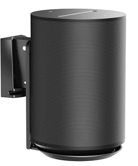 Wall Mount for Era 100