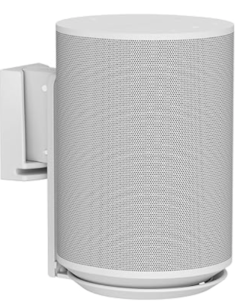 Wall Mount for Era 100